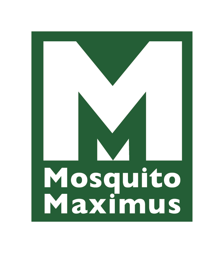 Mosquito Maximus